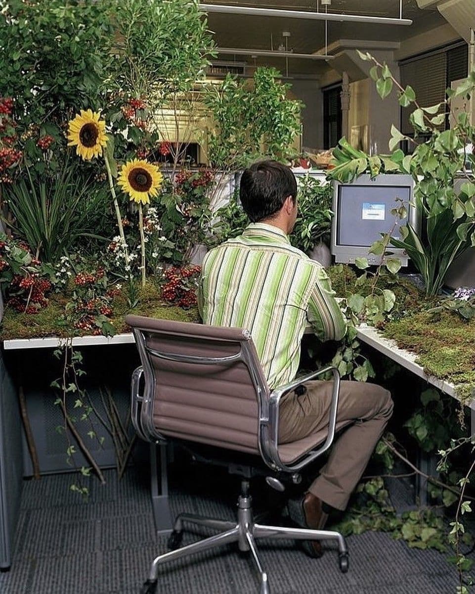 How to build your employer brand