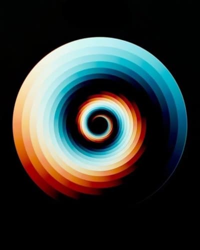 The portfolio paradox